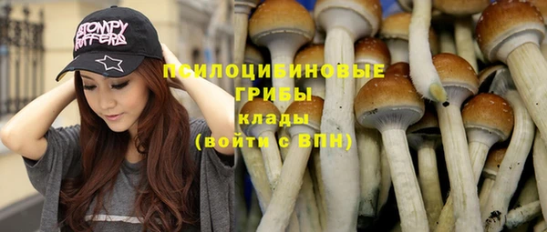 apvp Нея