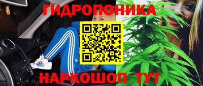 тгк Гусь-Хрустальный